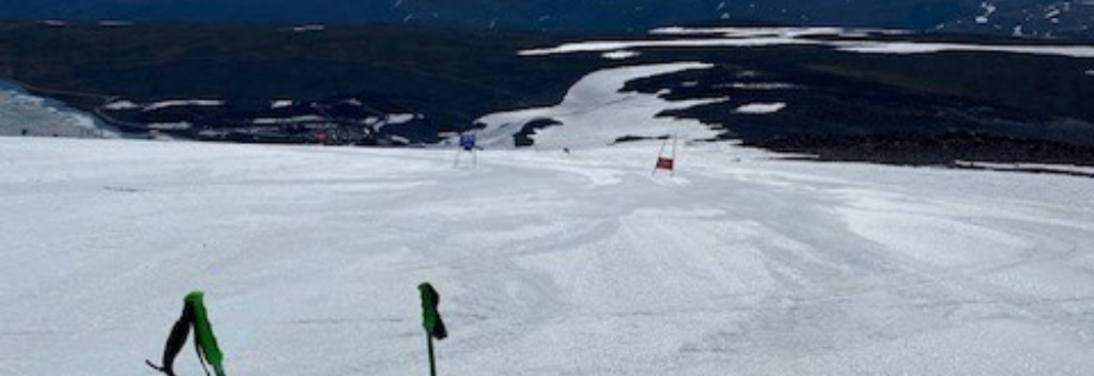 Skiskole 2021